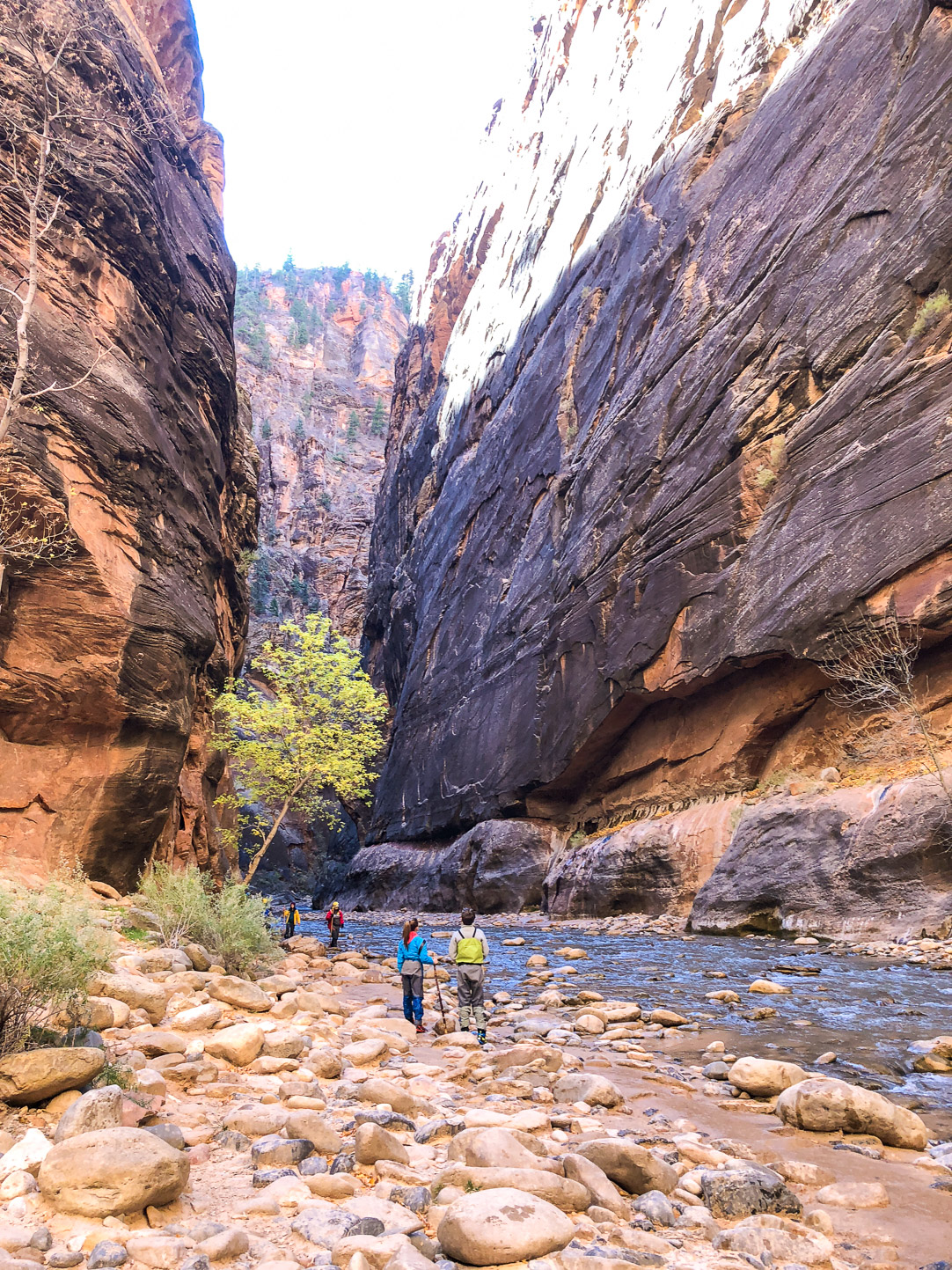Zion National Park | The Simple Proof
