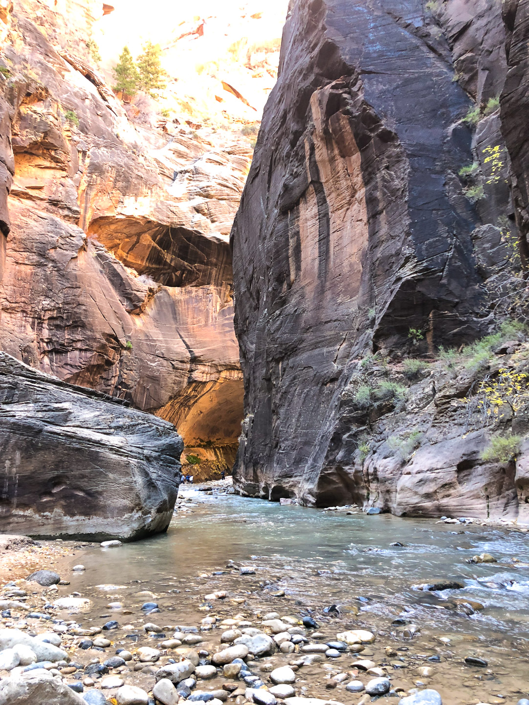 Zion National Park | The Simple Proof