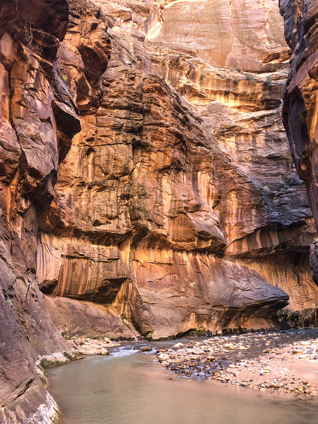 Zion National Park | The Simple Proof