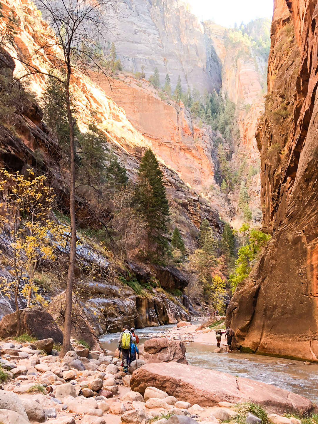 Zion National Park | The Simple Proof