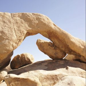 Joshua-Tree