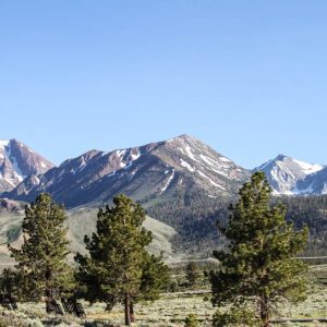 The Simple Proof | An Eastern Sierra Road Trip