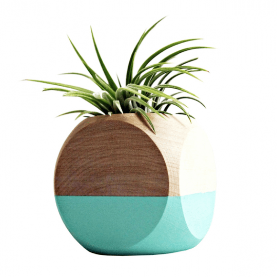 cube planter